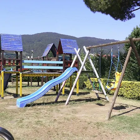 477 Colibri アメーリア