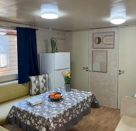 477 Colibri アメーリア