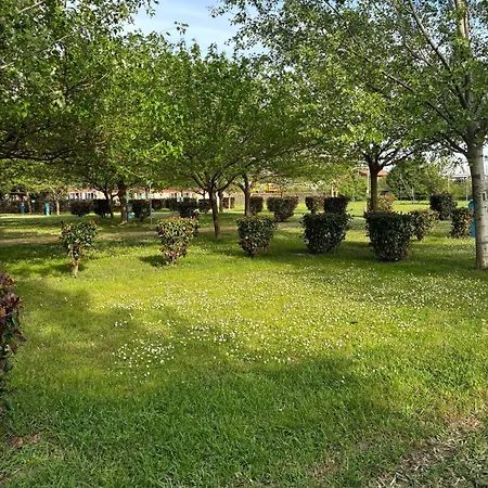 477 Colibri Campingplatz Ameglia