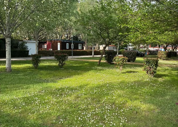 477 Colibri Campingplatz Ameglia