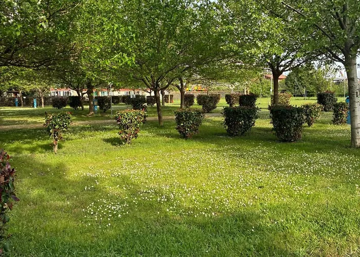 477 Colibri Campingplatz Ameglia