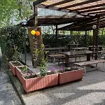 477 Colibrì * Ameglia