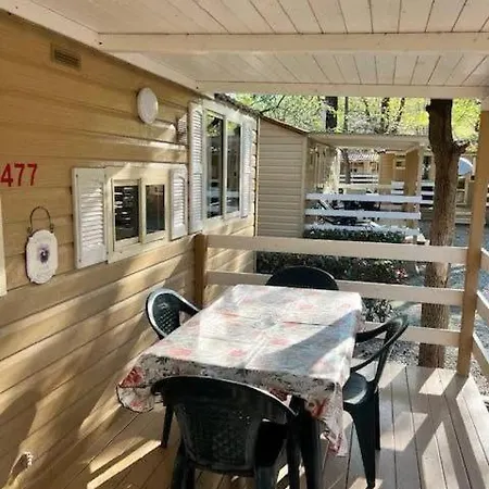 477 Colibri Кемпинг