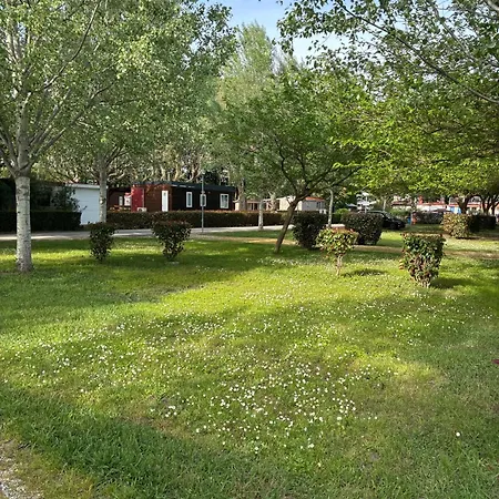 477 Colibri Campingplads Ameglia
