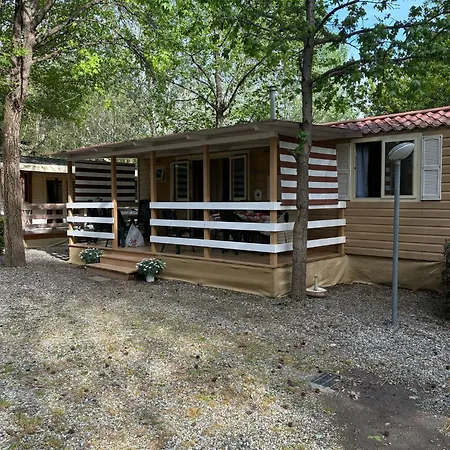 477 Colibri * Амелия