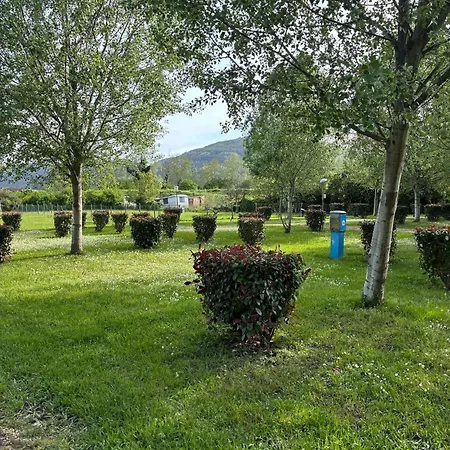 477 Colibri * Амелия