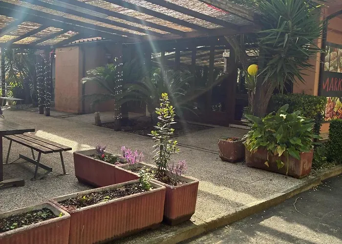 477 Colibri Campingplads *