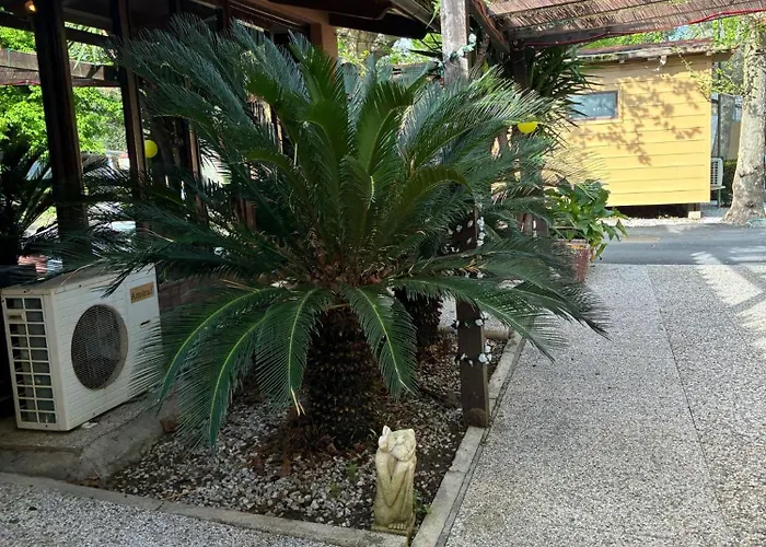 Campingplads 477 Colibri *