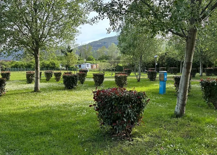 477 Colibri * Ameglia