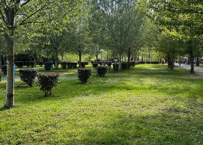 477 Colibri Campingplads *